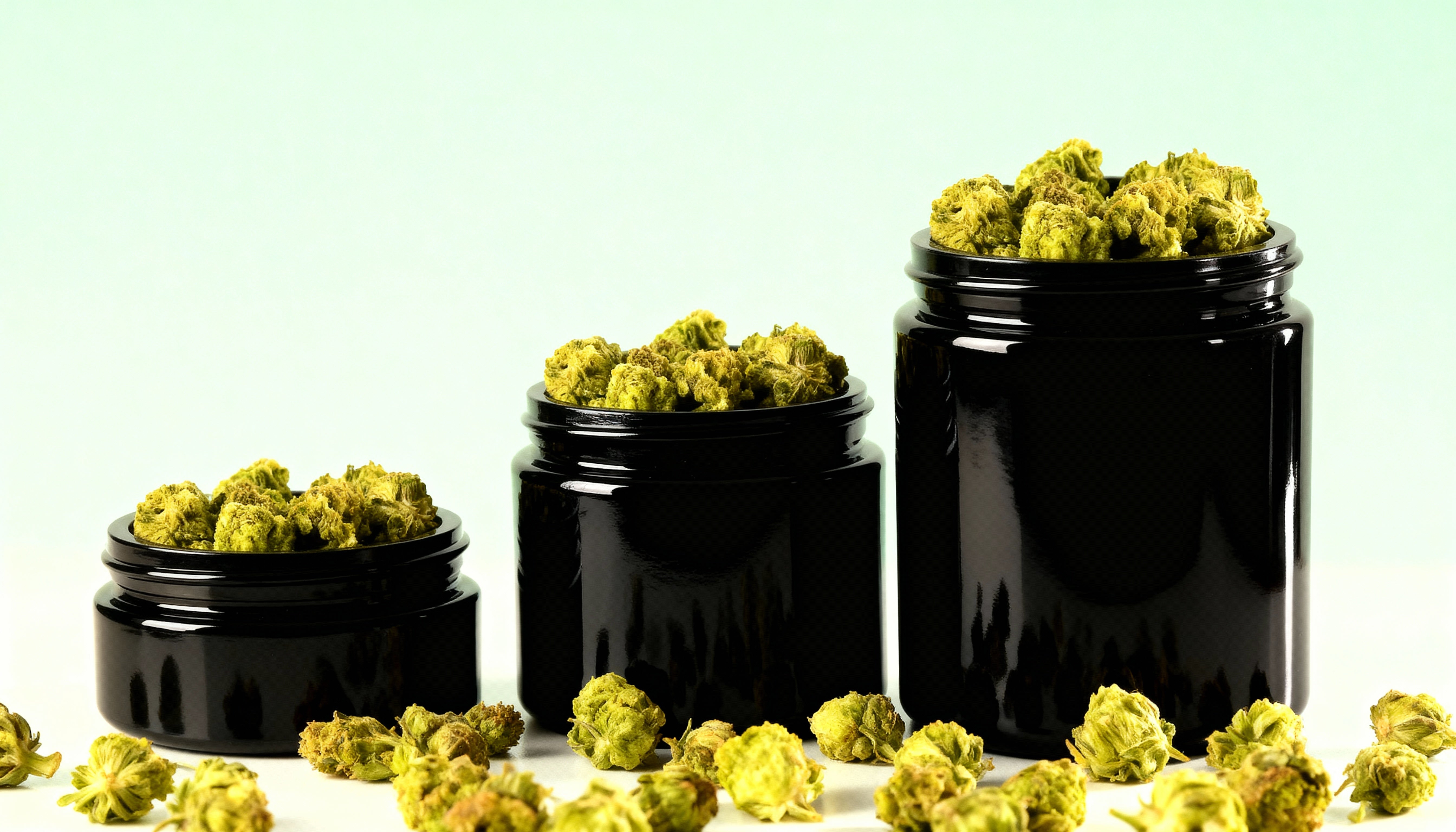 Welche Cannabissorte passt zu dir Entdecke die Vielfalt von Bubba Kush bis Lemon Haze