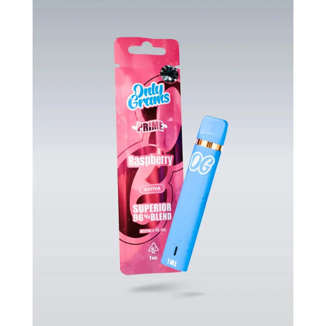 Only Grams H2 Vape 600 Puffs – Raspberry