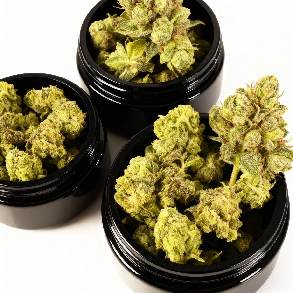 H3 Superior Blüte Bundle 3 für 2