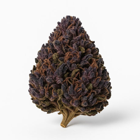 Purple Kinky Kush 40% Superior Blend 5g