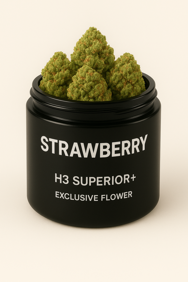 Strawberry H3 Superior Blüte