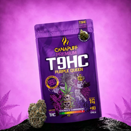 Canapuff T9HC Purple Queen 99 Prozent Premium Cannabis Blüten in Originalverpackung