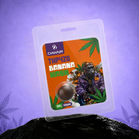 Canapuff THP420 Banana Hash – Premium Haschisch Originalverpackung