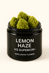 Lemon Haze H3 Superior Blüte