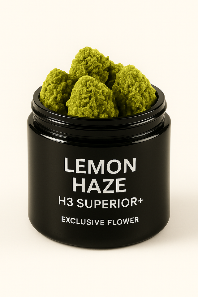 Lemon Haze H3 Superior Blüte