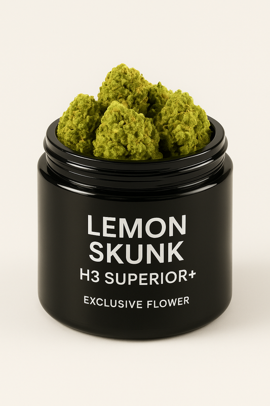 Lemon Skunk H3 Superior Blüte